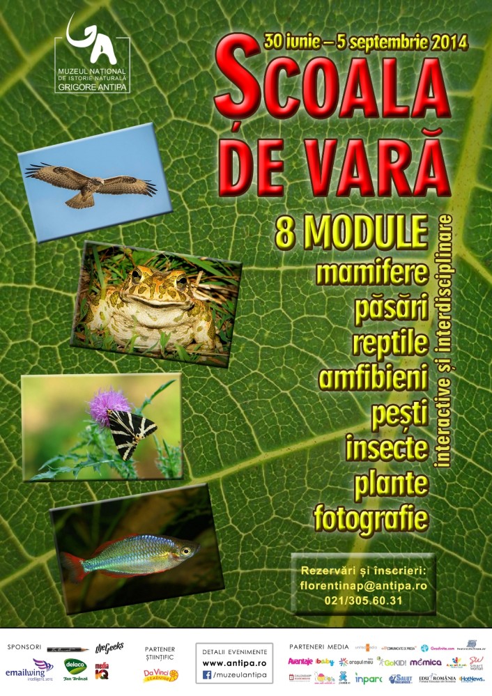 Misterioasa lume a mamiferelor la Muzeul Antipa